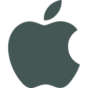 Icon 5